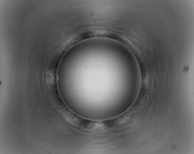 X0000091220715200708161656