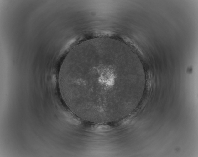 X0000091220716200708161656