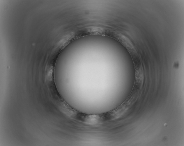 X0000091220717200708161656