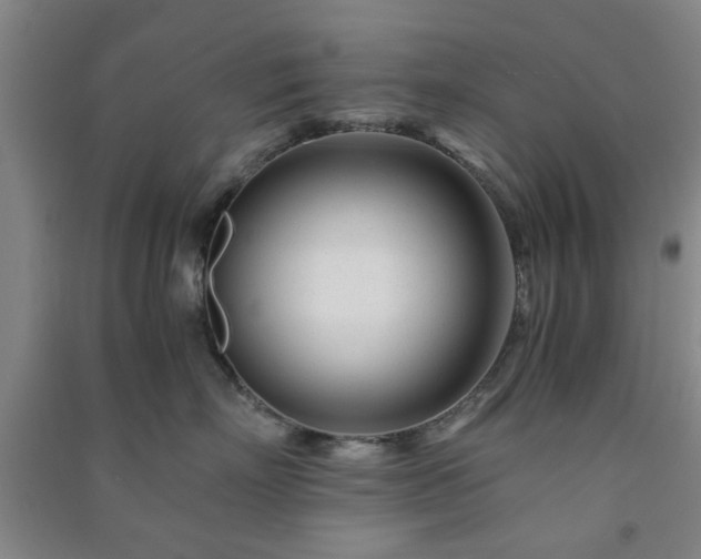 X0000091220718200708161656