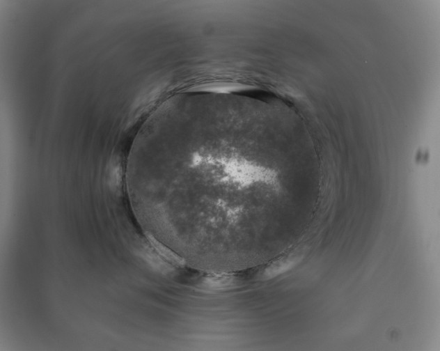 X0000091220720200708161656