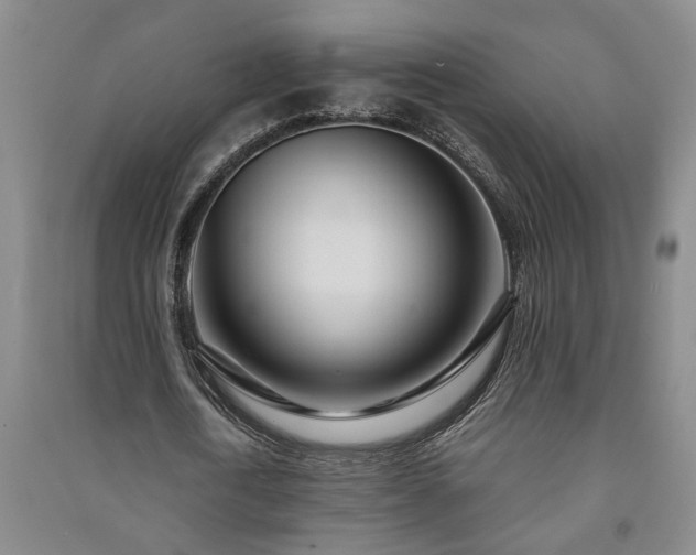 X0000091220722200708161656