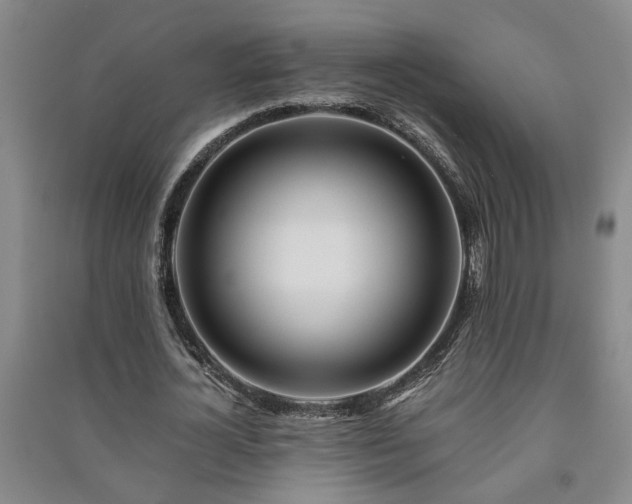 X0000091220724200708161656