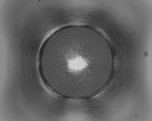 X0000091220726200708161656