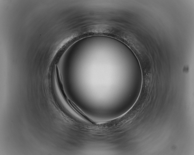 X0000091220727200708161656