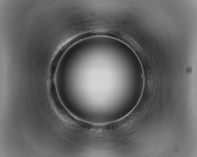 X0000091220728200708161656