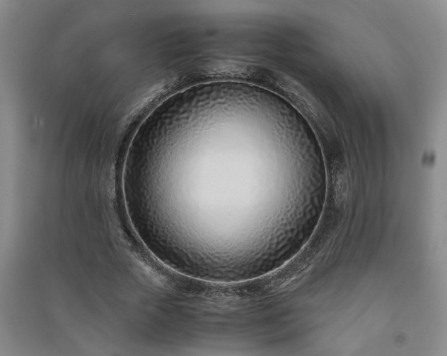 X0000091220729200708161656