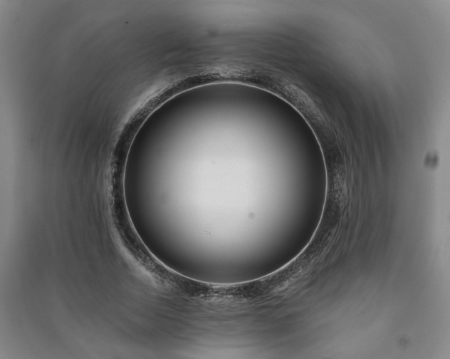 X0000091220730200708161656