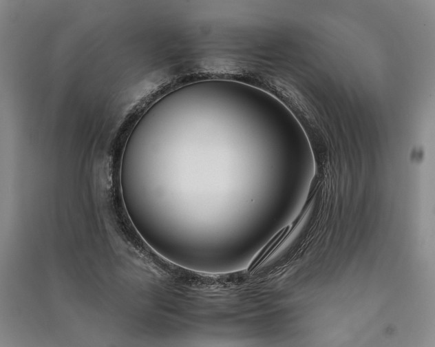 X0000091220731200708161656