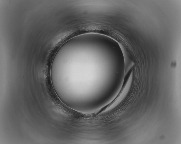 X0000091220732200708161656