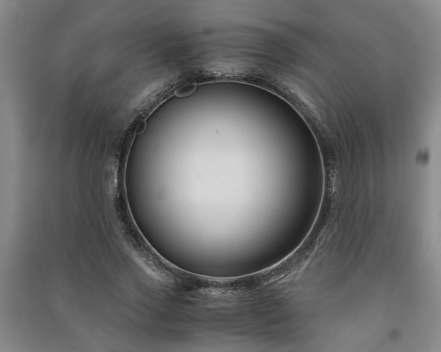 X0000091220733200708161656