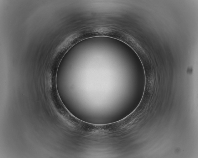 X0000091220734200708161656