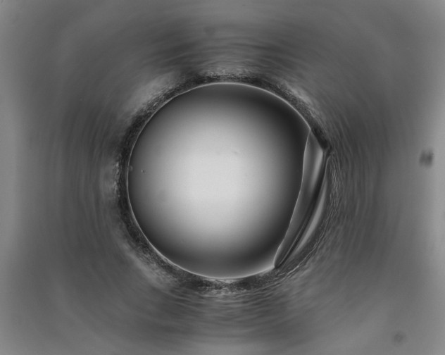 X0000091220735200708161656