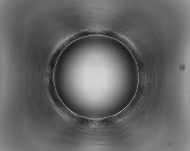 X0000091220736200708161656