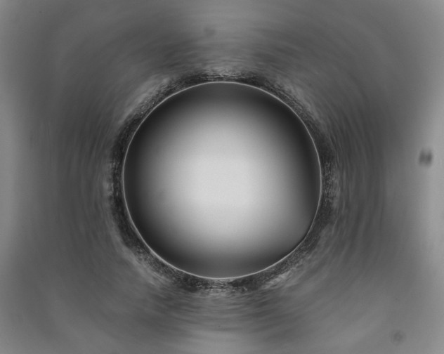 X0000091220738200708161656