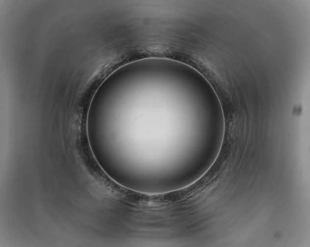 X0000091220739200708161656