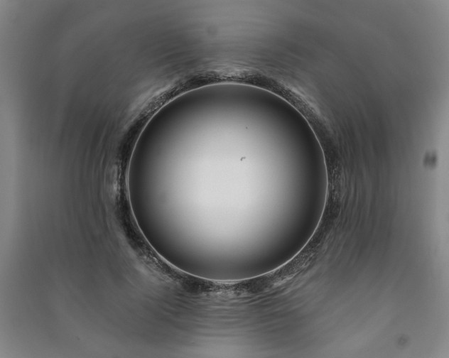 X0000091220740200708161656