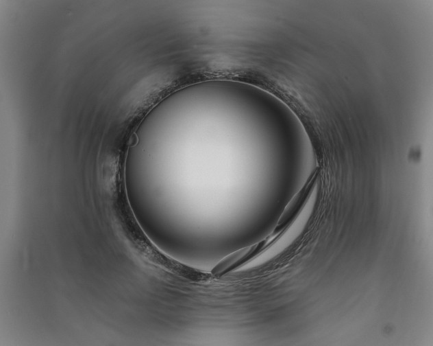 X0000091220742200708161656