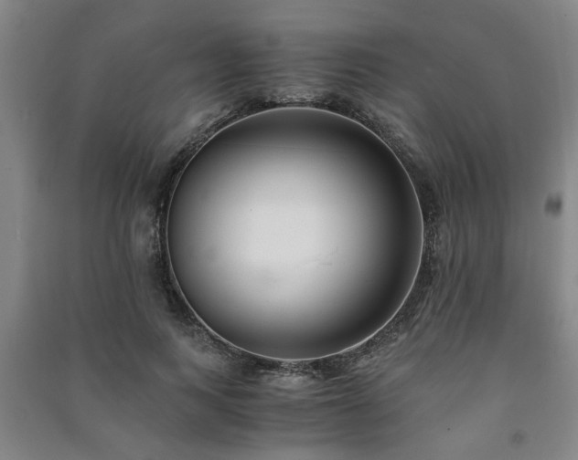 X0000091220743200708161656