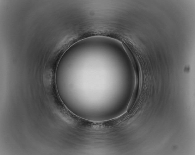 X0000091220744200708161656