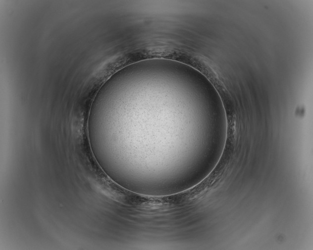 X0000091220745200708161656