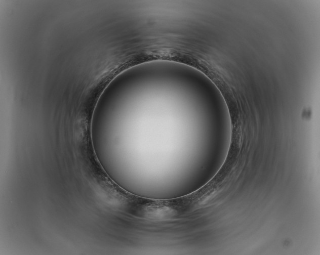 X0000091220747200708161656