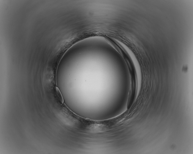 X0000091220748200708161656