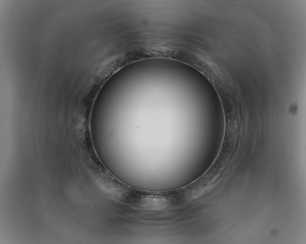 X0000091220749200708161656