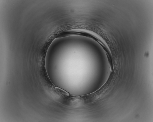 X0000091220750200708161656