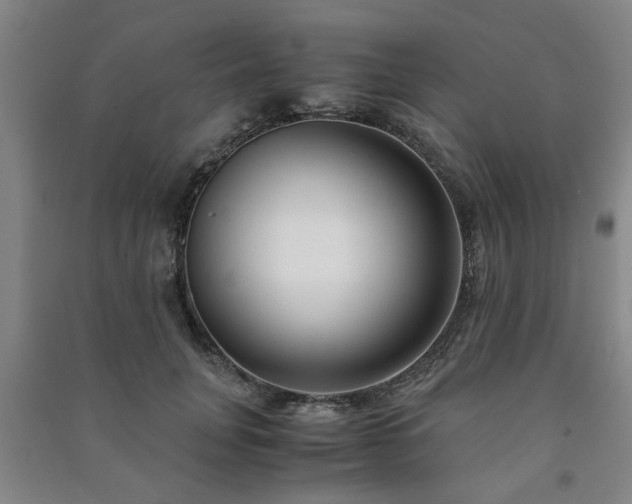 X0000091220751200708161656