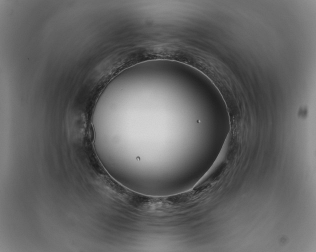 X0000091220752200708161656