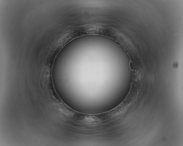 X0000091220753200708161656