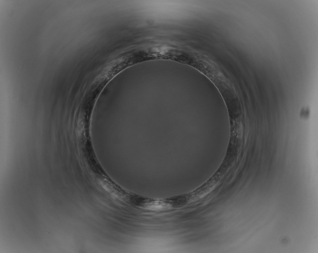 X0000091220754200708161656