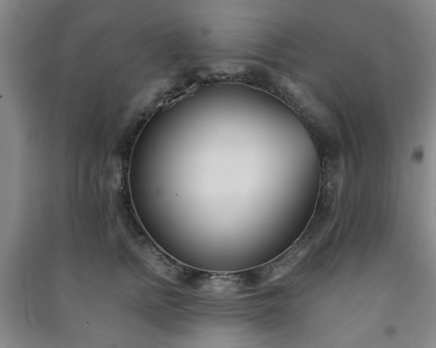 X0000091220758200708161656