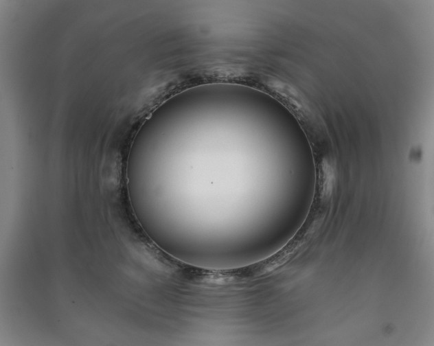 X0000091220760200708161656