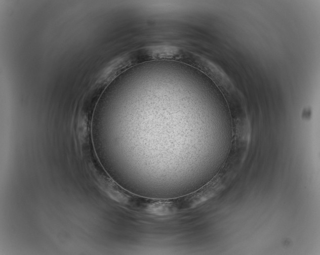 X0000091220761200708161656