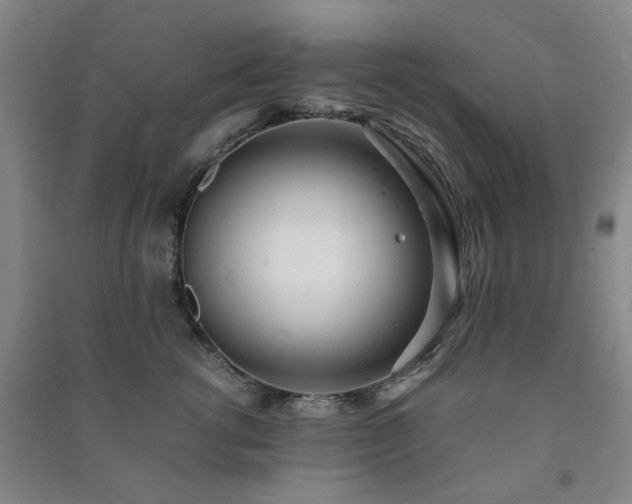 X0000091220762200708161656