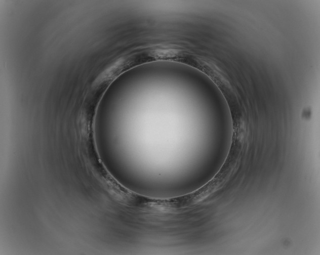 X0000091220763200708161656