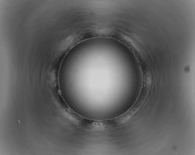 X0000091220764200708161656