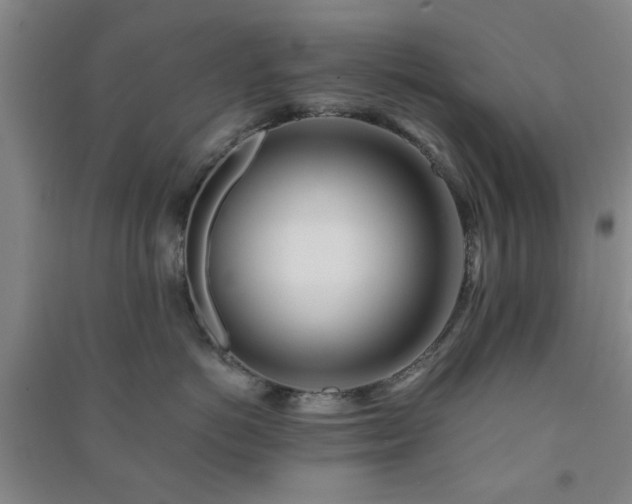 X0000091220766200708161656