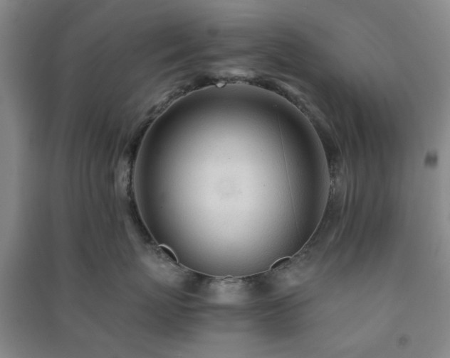 X0000091220767200708161656