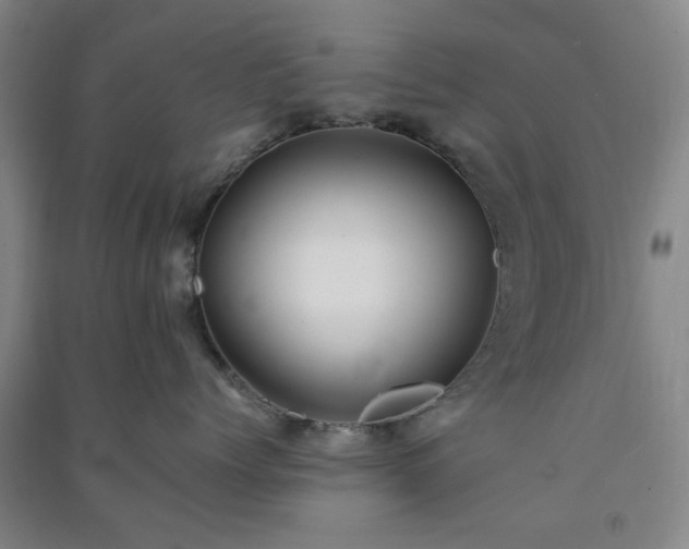 X0000091220768200708161656