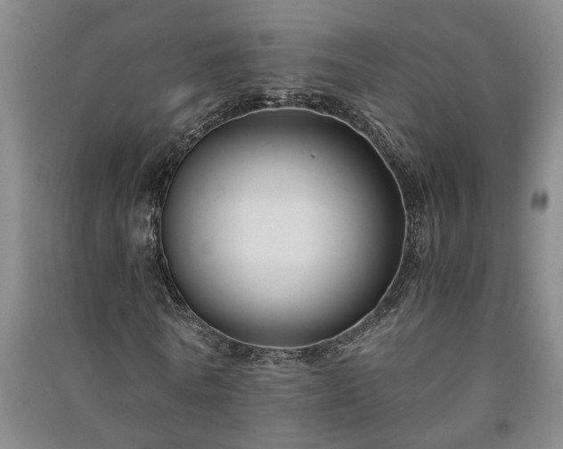 X0000091220770200708161656