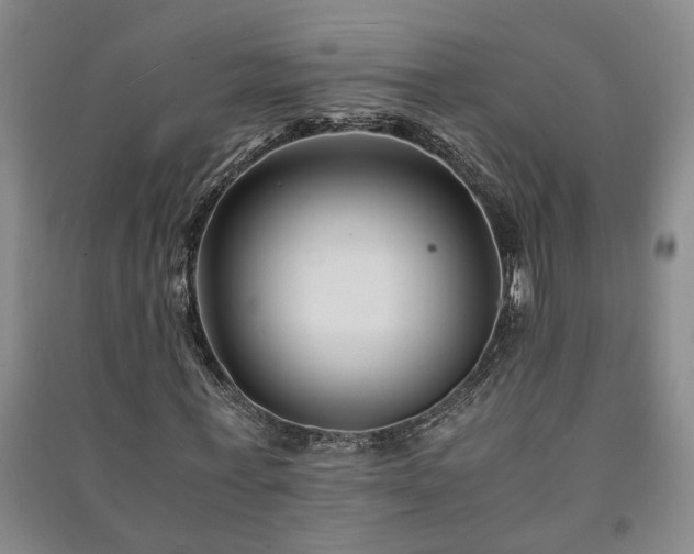 X0000091220771200708161655