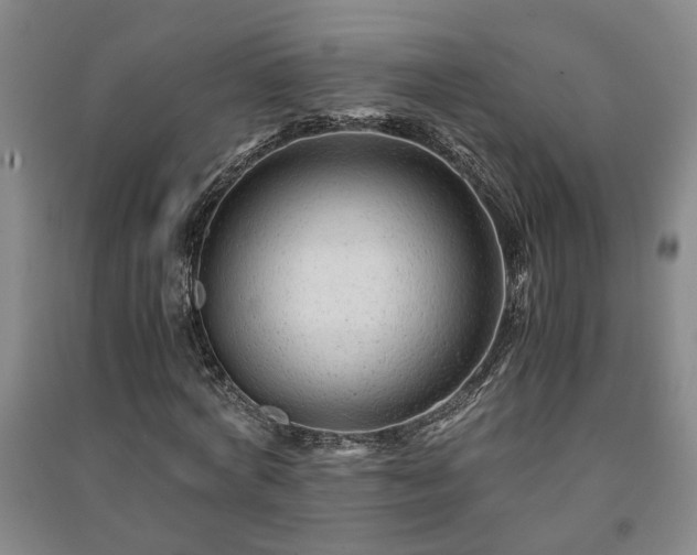 X0000091220772200708161655