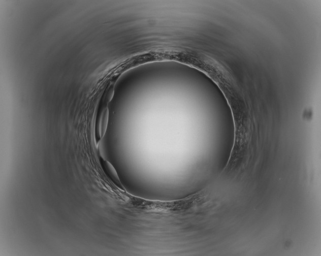 X0000091220773200708161655