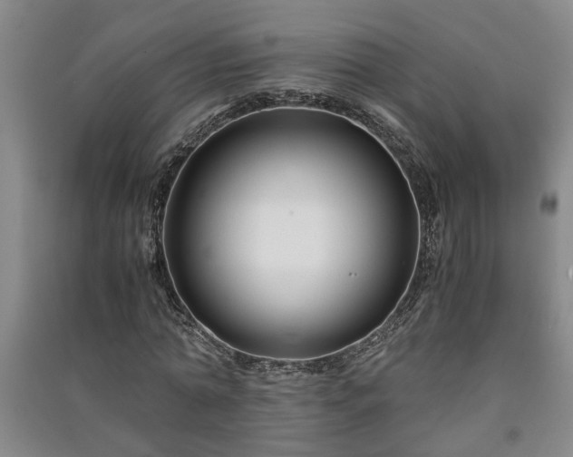 X0000091220774200708161655