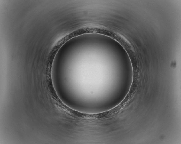 X0000091220775200708161655