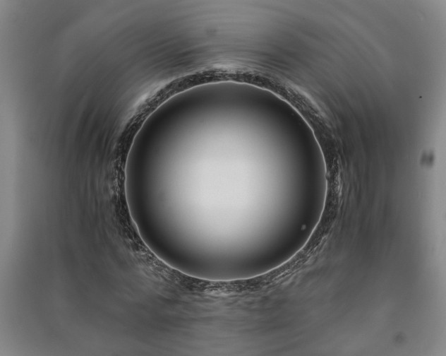 X0000091220776200708161655