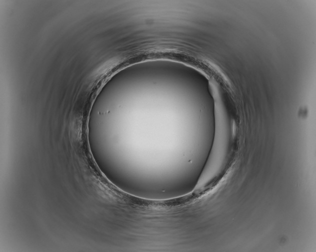 X0000091220777200708161655